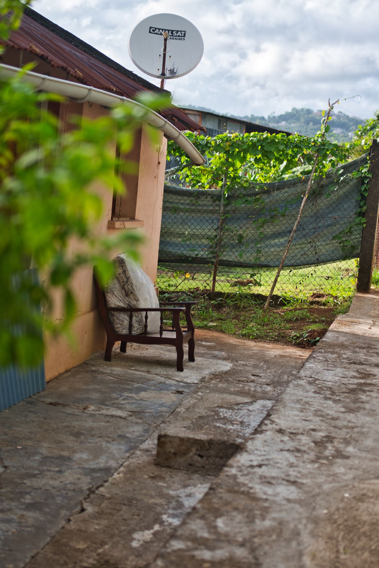 fauteuil-vintage-marron-robert-martinique